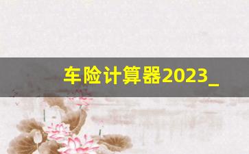 车险计算器2023_输入车牌号查车险保单