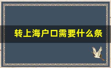 转上海户口需要什么条件