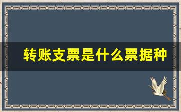 转账支票是什么票据种类