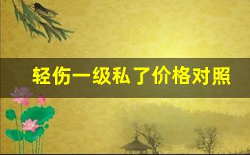 轻伤一级私了价格对照表_轻伤赔偿价格表