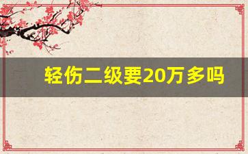 轻伤二级要20万多吗