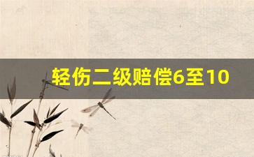 轻伤二级赔偿6至10万_车祸小脚趾骨折够得上几级伤残