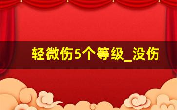 轻微伤5个等级_没伤也能鉴定出轻微伤