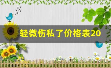 轻微伤私了价格表2023_轻微伤私了要求3万多吗