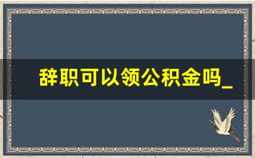 辞职可以领公积金吗_离职后公积金可以代领吗