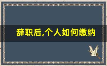 辞职后,个人如何缴纳社保_不上班医保能单独交吗