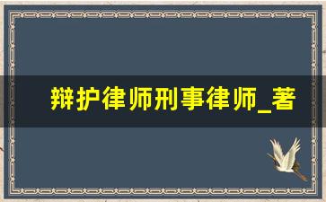 辩护律师刑事律师_著名专业辩护律师