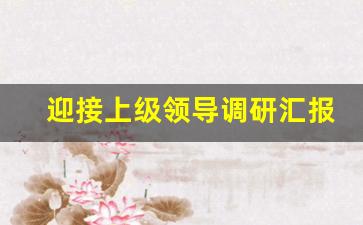 迎接上级领导调研汇报材料