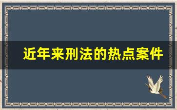 近年来刑法的热点案件