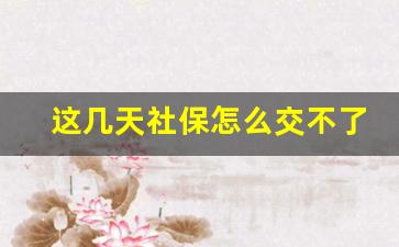 这几天社保怎么交不了_2023年社保补缴最晚时间