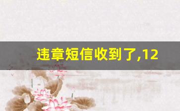 违章短信收到了,12123查不到_怎么马上知道自己违章