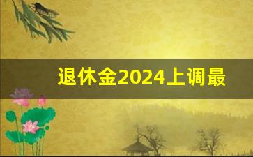 退休金2024上调最新政策公布_2024年退休不再审核档案