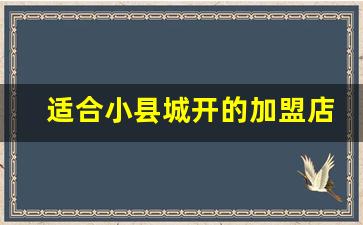 适合小县城开的加盟店