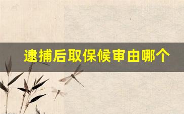 逮捕后取保候审由哪个机关决定_取保候审成功了不能掉以轻心