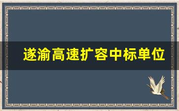 遂渝高速扩容中标单位公示