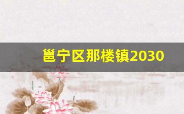 邕宁区那楼镇2030规划图_邕宁区那楼镇村道扩建