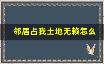 邻居占我土地无赖怎么办