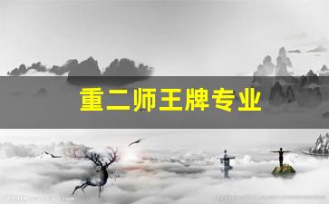 重二师王牌专业