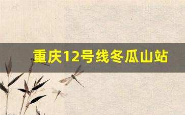 重庆12号线冬瓜山站改了吗_重庆12号线中央公园南