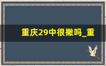 重庆29中很撇吗_重庆29中清华北大上线率