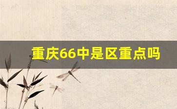 重庆66中是区重点吗_重庆66中与复旦中学