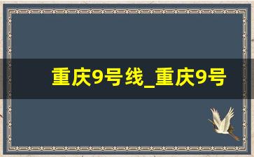 重庆9号线_重庆9号线地铁最新消息