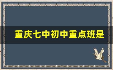 重庆七中初中重点班是哪几个班_重庆七中重点班