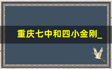 重庆七中和四小金刚_重庆18中和29中哪个好