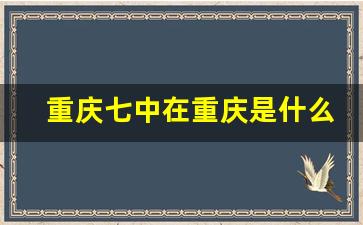 重庆七中在重庆是什么水平_重庆7中怎么样