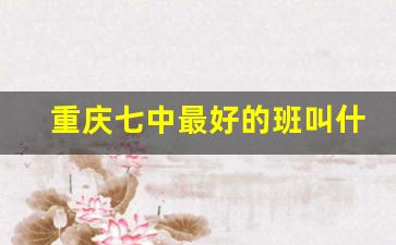 重庆七中最好的班叫什么_重庆7中本部2023年初中班型