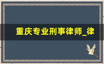 重庆专业刑事律师_律师事务所刑事