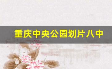 重庆中央公园划片八中_宏帆八中是重庆市最好的初中吗