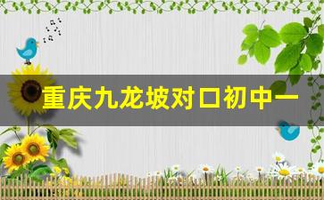 重庆九龙坡对口初中一览表_重庆市九龙坡区小学排名一览表