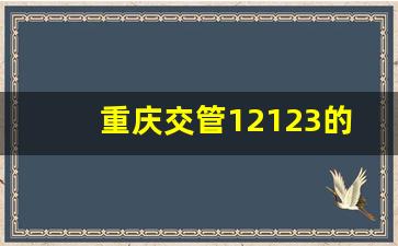 重庆交管12123的人工电话_121235000是重庆交巡警短信