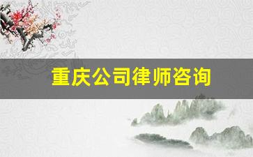 重庆公司律师咨询