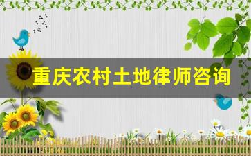 重庆农村土地律师咨询微信