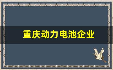 重庆动力电池企业