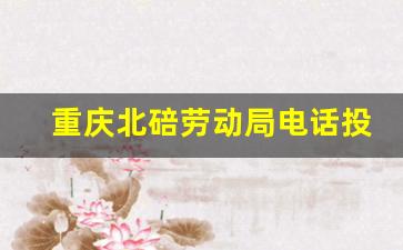 重庆北碚劳动局电话投诉热线_重庆北碚劳动仲裁咨询电话