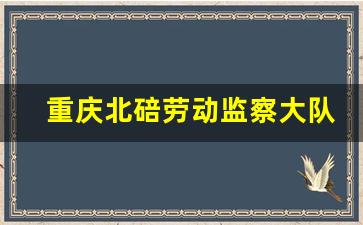 重庆北碚劳动监察大队电话号码