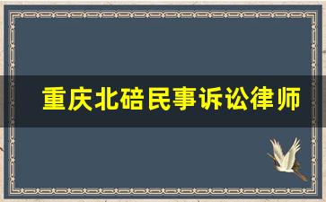 重庆北碚民事诉讼律师咨询