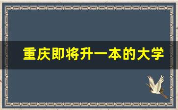 重庆即将升一本的大学_重庆两所大学更名