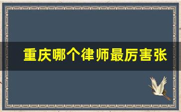 重庆哪个律师最厉害张智勇