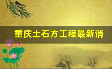 重庆土石方工程最新消息新闻发布会_军事项目土方工程真假