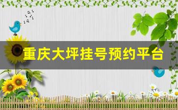 重庆大坪挂号预约平台_大坪医院医生出诊时间