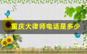 重庆大律师电话是多少_律师咨询电话