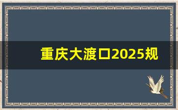 重庆大渡口2025规划图