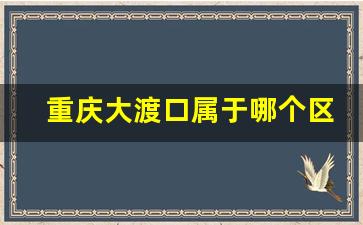 重庆大渡口属于哪个区_重庆大渡口到洪崖洞多久