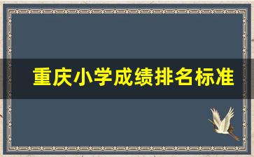 重庆小学成绩排名标准_重庆马拉松直通成绩