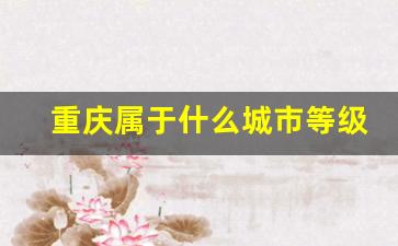 重庆属于什么城市等级_重庆市是二级地方市吗