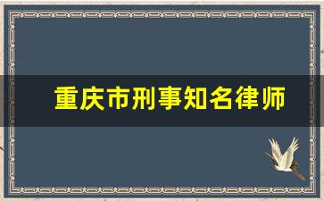 重庆市刑事知名律师